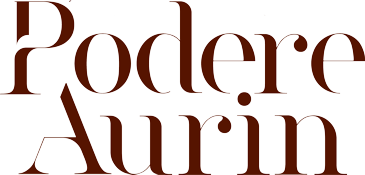 Podere Aurin